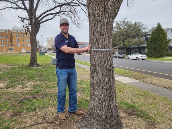 Denton Tree Removal, Tree Trimming / Pruning. 940-595-3335 - Samuel's ...