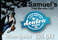 Denton Tree Removal, Tree Trimming / Pruning. 940-595-3335 - Samuel's ...