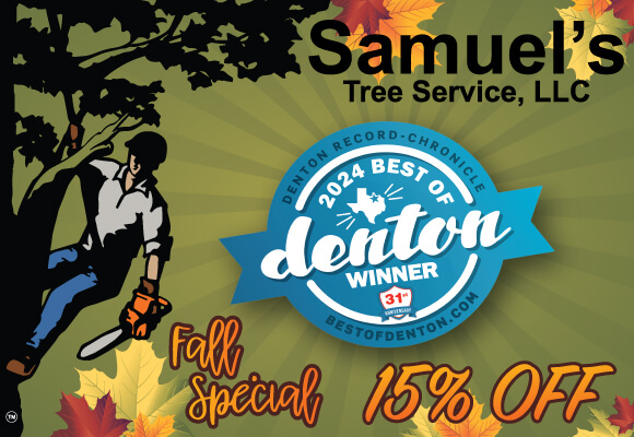 STS_580x400_Fall_google