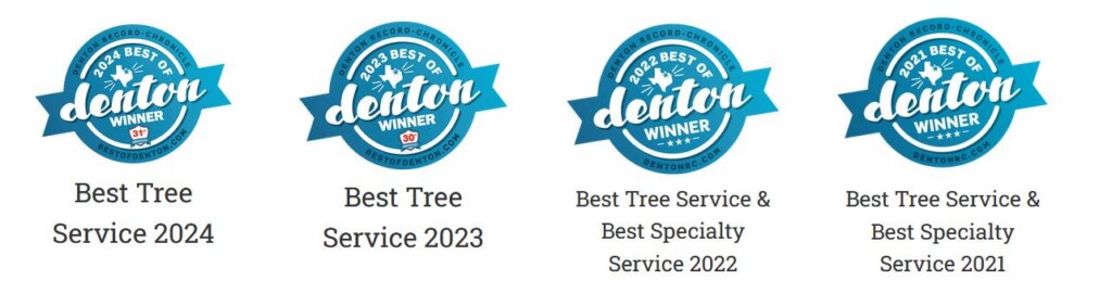 Best of Denton 20224-2021